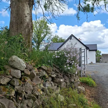 Lough Lea House, Bunnamuca Strokestown
