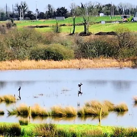 Σπίτι διακοπών Lough Lea House, Bunnamuca