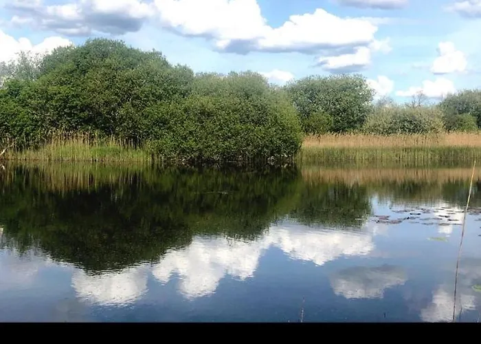 Lough Lea House, Bunnamuca *