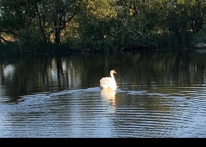 Lough Lea House, Bunnamuca Feriehus *