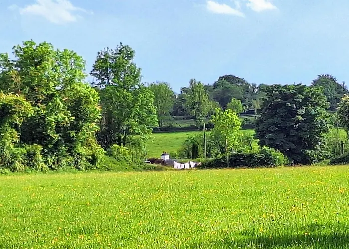 Lough Lea House, Bunnamuca *