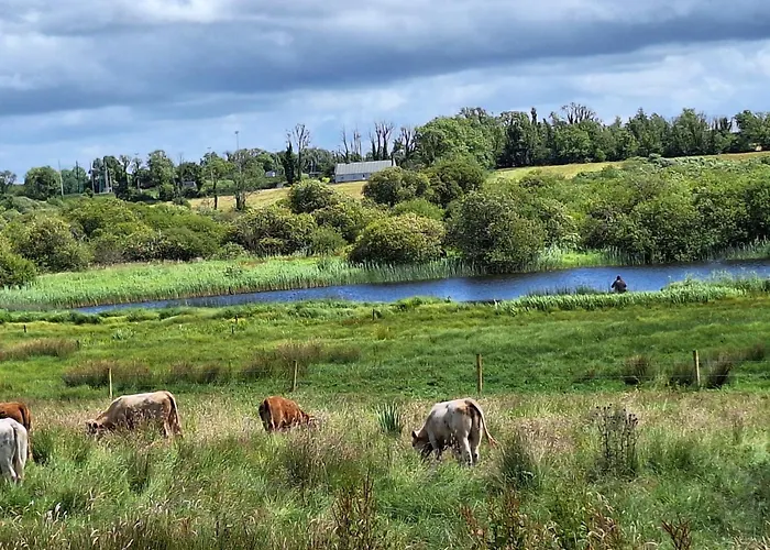 Lough Lea House, Bunnamuca