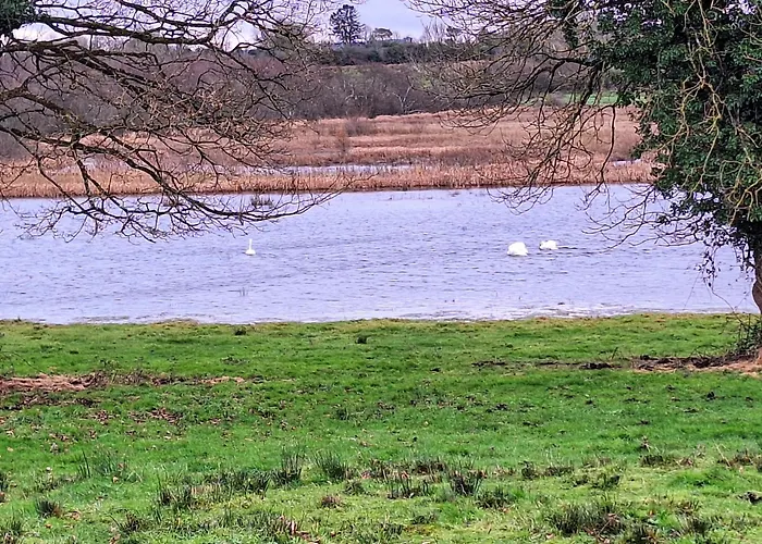 Lough Lea House, Bunnamuca Strokestown